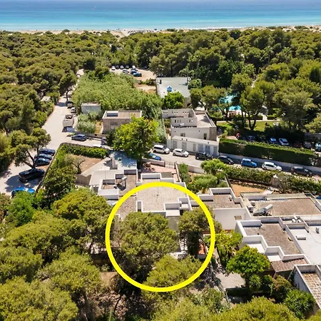 Casa vacanze Pinetata 452 *